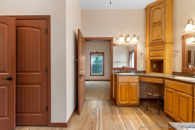 bathroom featuring wood-type flooring and vanity