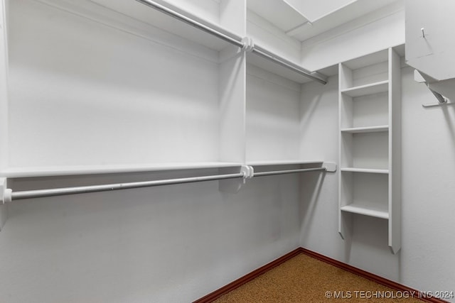 walk in closet featuring carpet