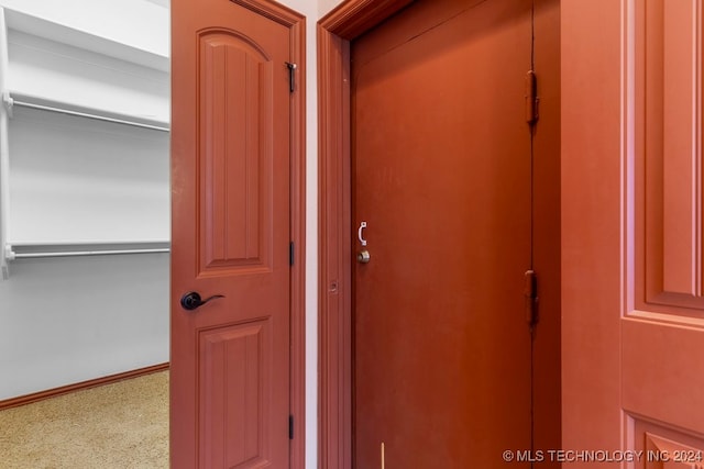 room details featuring carpet floors