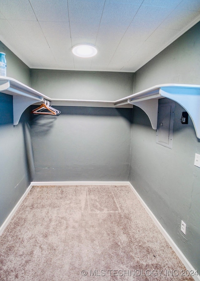 walk in closet featuring carpet floors and electric panel