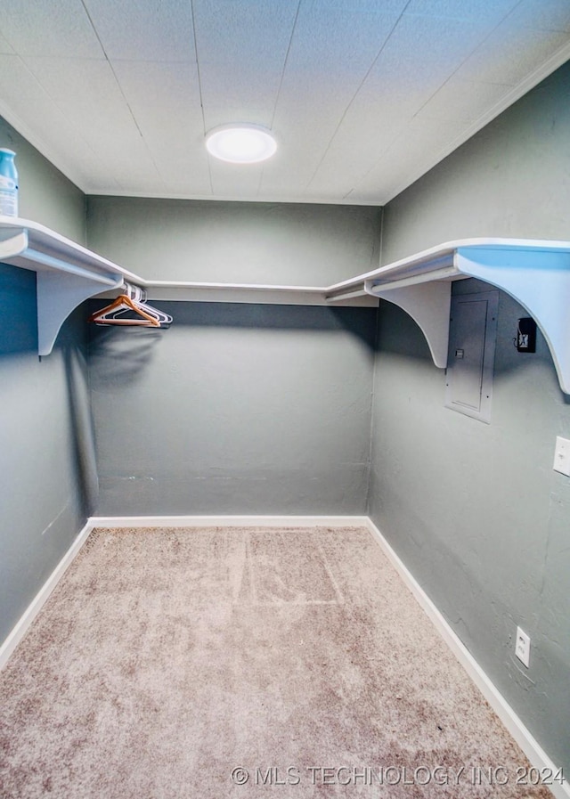 7386 Sooner Rd, Kingston, OK 73439 - spacious closet featuring carpet floors and electric panel