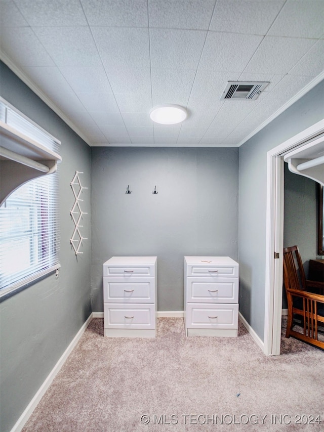 miscellaneous room featuring ornamental molding and light carpet