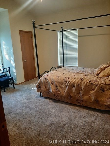 bedroom with carpet floors