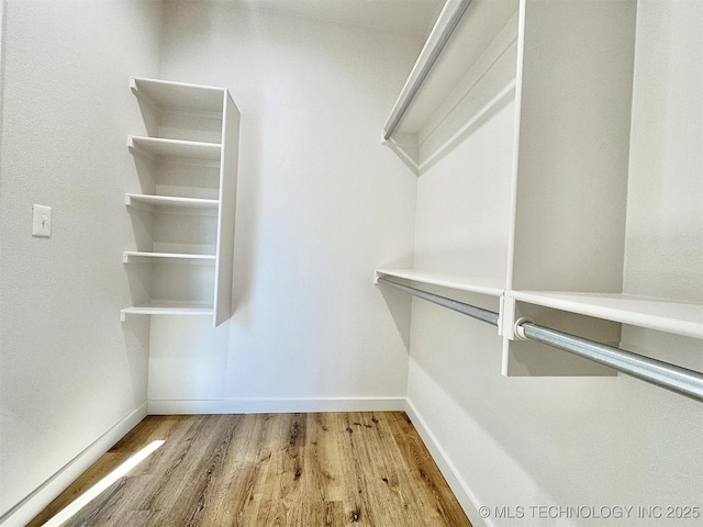 walk in closet featuring wood-type flooring