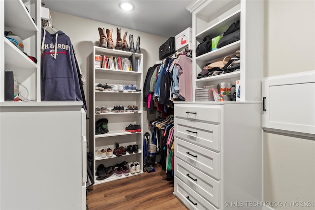 spacious closet featuring dark wood-type flooring