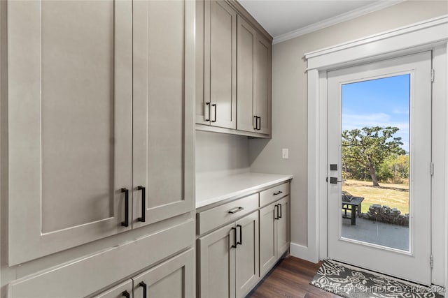 bar with gray cabinets, crown molding, and dark hardwood / wood-style flooring