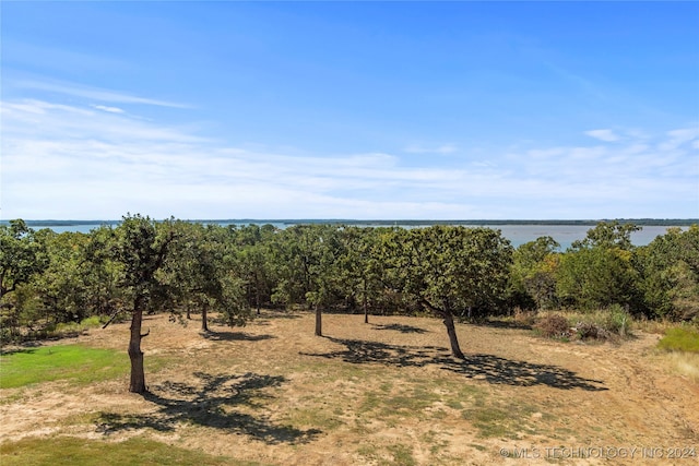 view of local wilderness featuring a water view