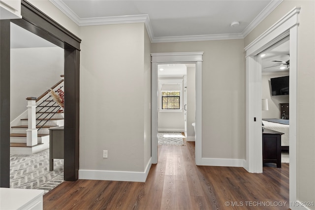 corridor featuring crown molding and dark wood-type flooring