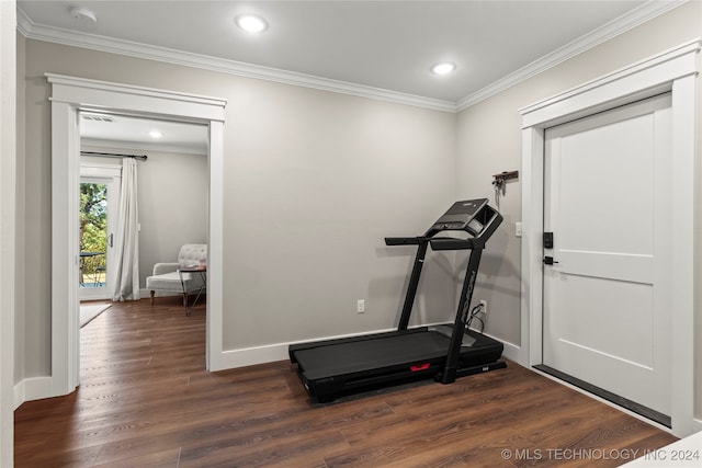 workout room featuring ornamental molding and dark hardwood / wood-style flooring