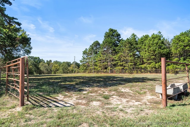 view of yard with a rural view