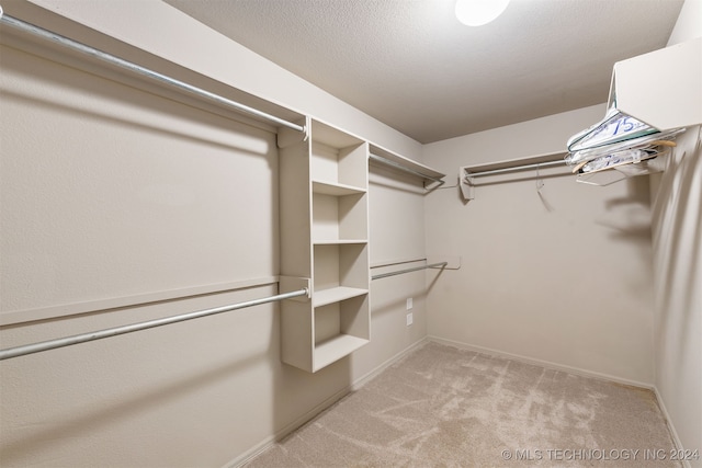 walk in closet featuring light colored carpet