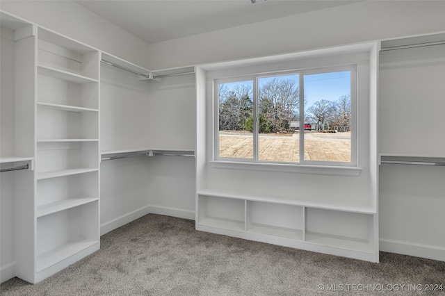 spacious closet with light carpet