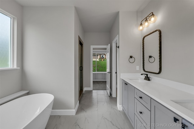 bathroom featuring vanity, a washtub, and a wealth of natural light