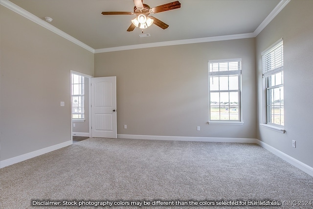 carpeted spare room featuring ceiling fan and crown molding