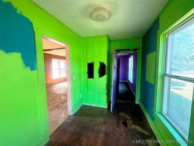 hallway with a wealth of natural light and dark hardwood / wood-style flooring