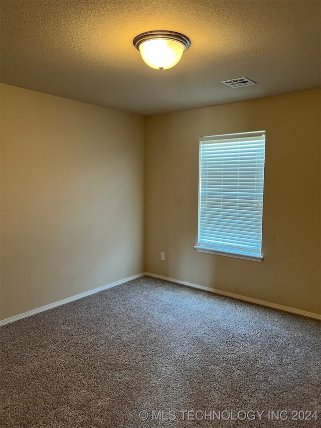 unfurnished room with carpet floors and a textured ceiling