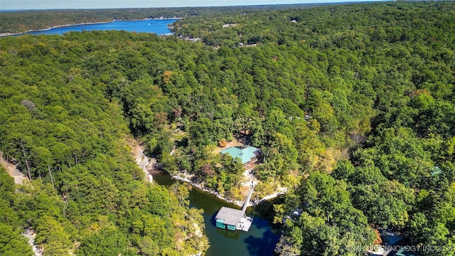 bird's eye view with a water view and a forest view