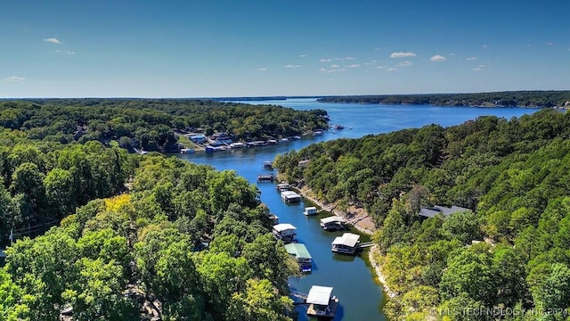 bird's eye view with a water view and a view of trees