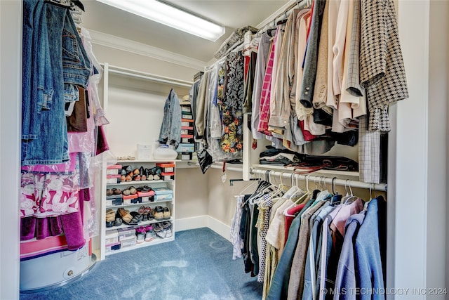 spacious closet with carpet