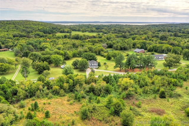 bird's eye view