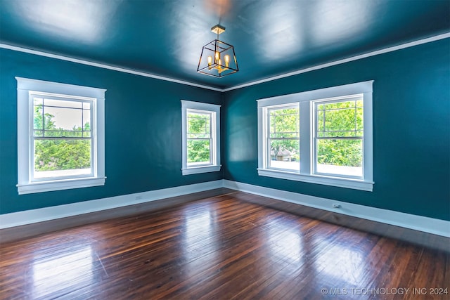 spare room with ornamental molding, a healthy amount of sunlight, and dark wood-type flooring