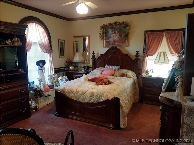 carpeted bedroom featuring ornamental molding, multiple windows, and ceiling fan