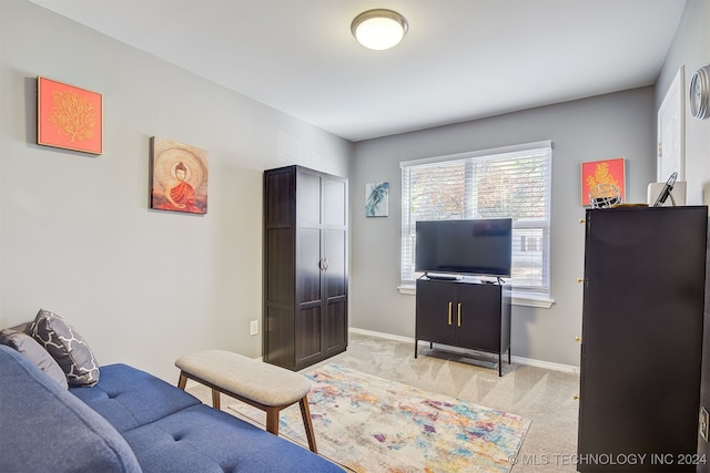 view of carpeted living room