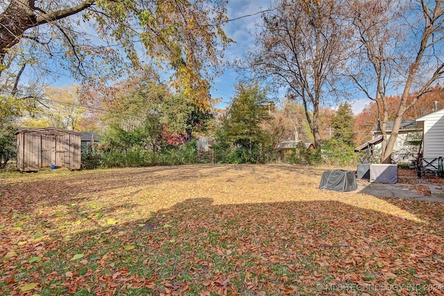 view of yard with a storage unit