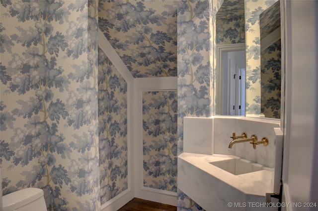 bathroom with vanity, hardwood / wood-style floors, and toilet