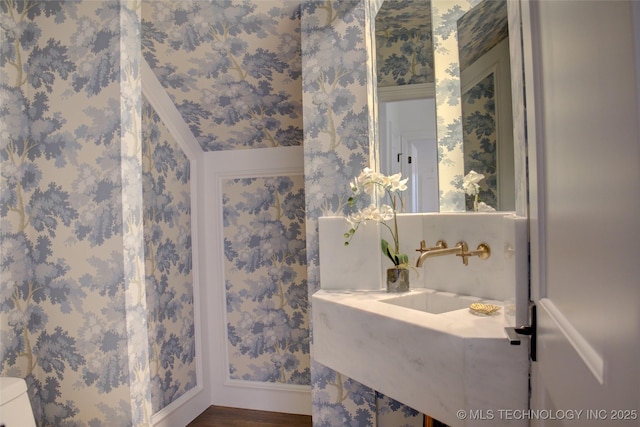 bathroom with wood-type flooring and sink