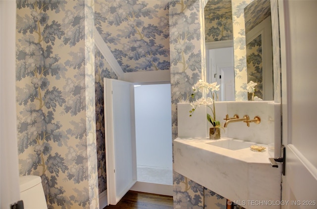 bathroom with hardwood / wood-style flooring, sink, and toilet