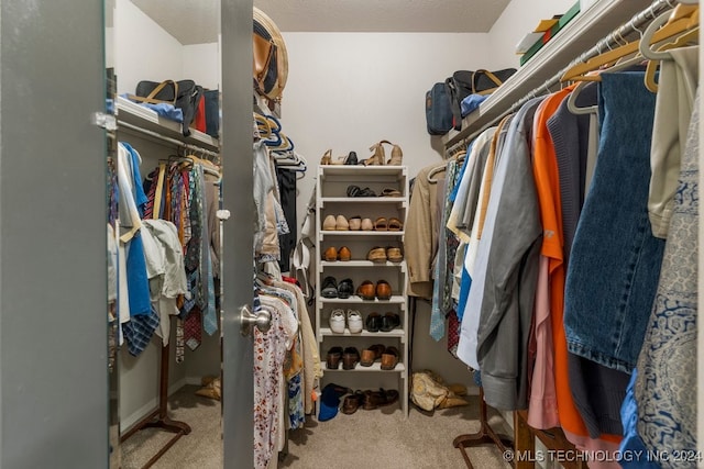 spacious closet with light carpet