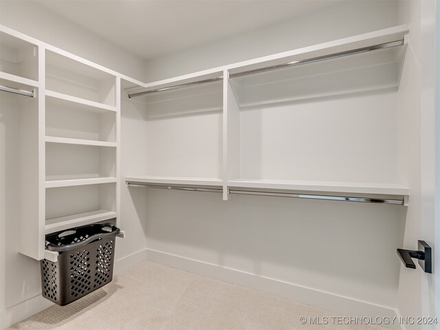 spacious closet featuring carpet