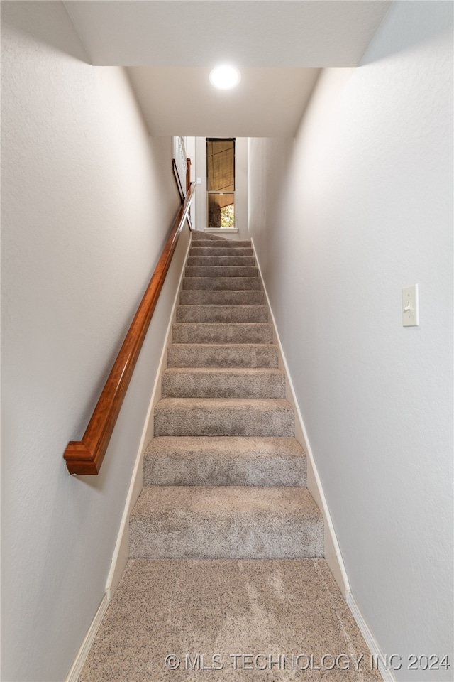 stairway featuring carpet floors