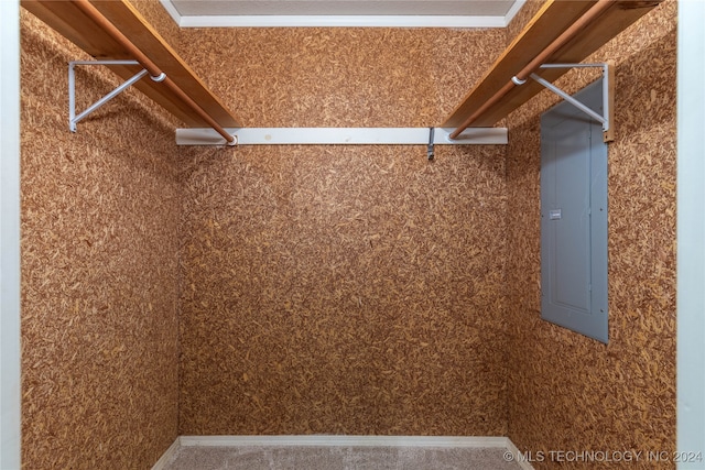 walk in closet with electric panel