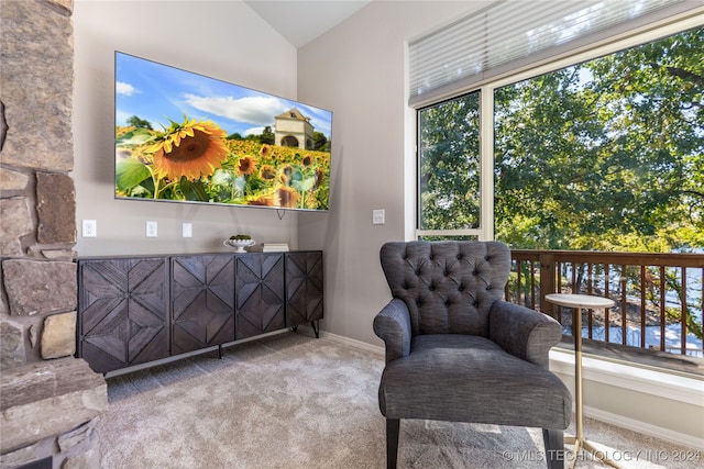 living area featuring carpet floors and vaulted ceiling