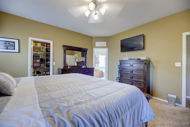 carpeted bedroom with ceiling fan, a closet, and a spacious closet