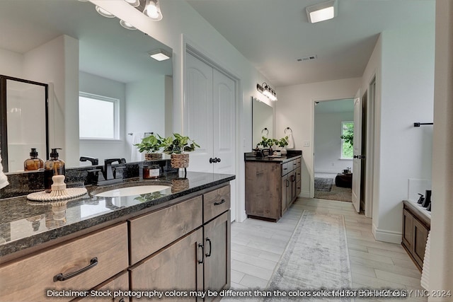 bathroom with wood-type flooring and vanity