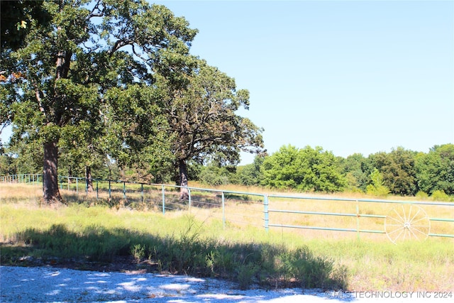 view of yard with a rural view