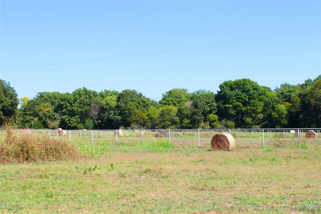 view of yard with a rural view