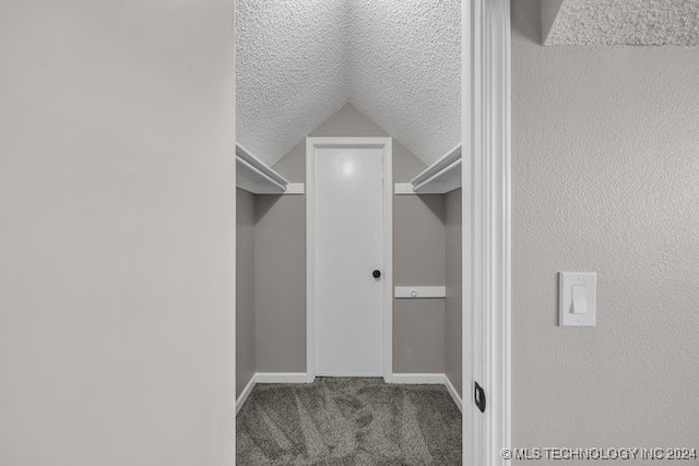 walk in closet with carpet floors and vaulted ceiling