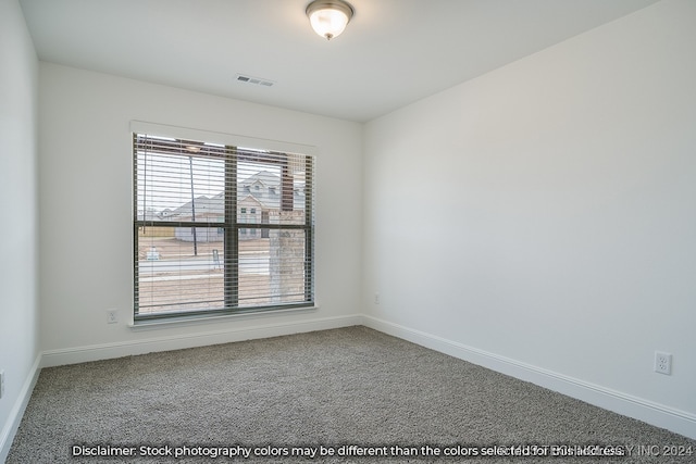 empty room featuring a wealth of natural light and carpet