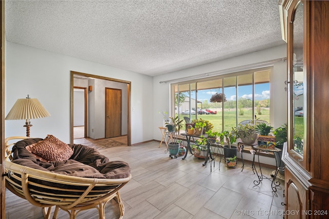 living room with a textured ceiling