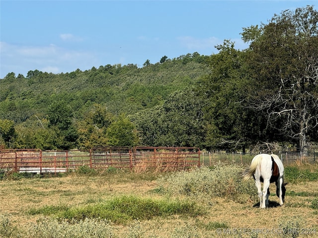 view of yard featuring a rural view