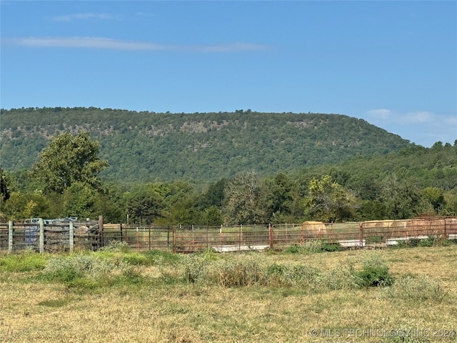 property view of mountains with a rural view