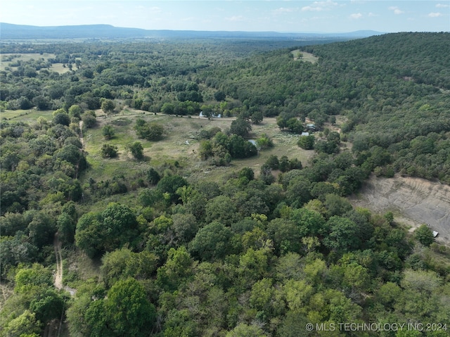 birds eye view of property featuring a mountain view