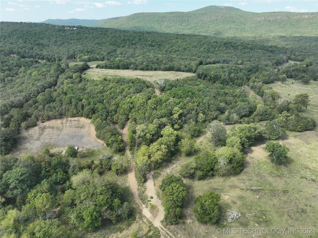 bird's eye view with a mountain view