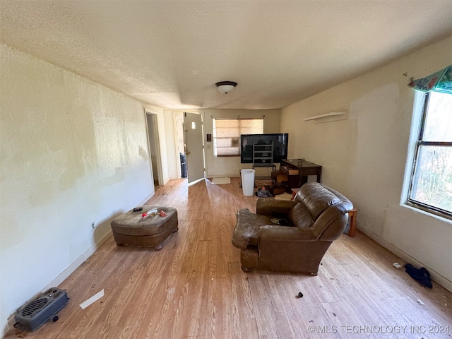 living room featuring a textured ceiling and light hardwood / wood-style floors