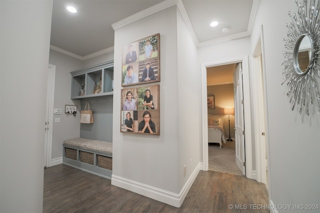 corridor featuring dark hardwood / wood-style floors and crown molding