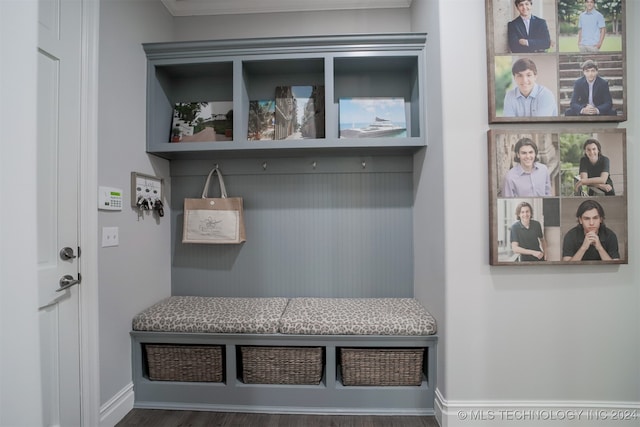 mudroom with dark hardwood / wood-style floors